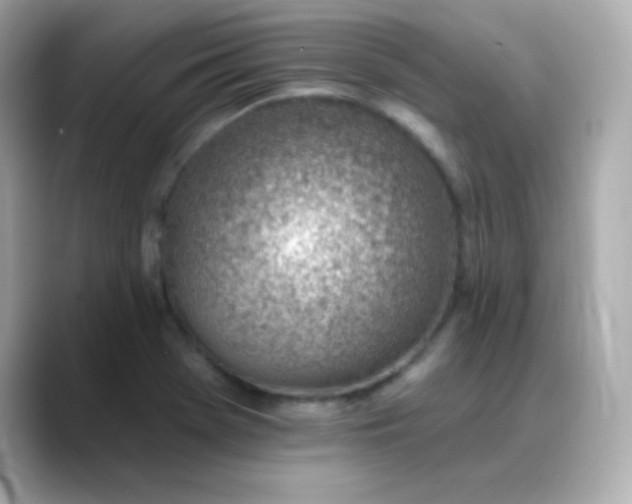 X0000088451369200706051258