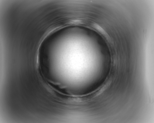 X0000088451370200706051258