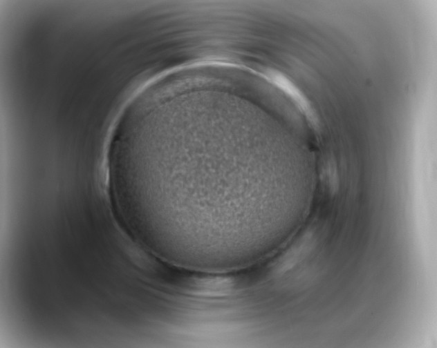 X0000088451372200706051258