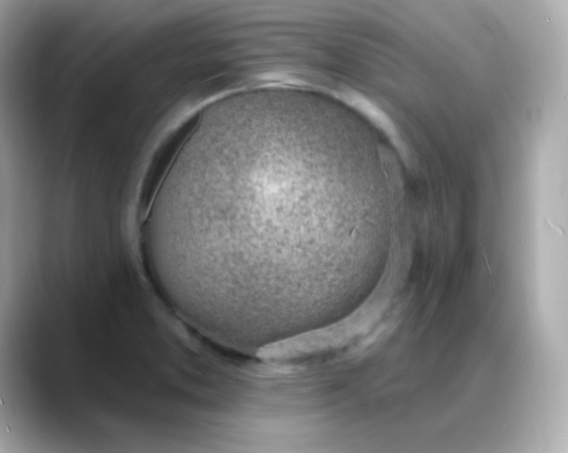 X0000088451373200706051258