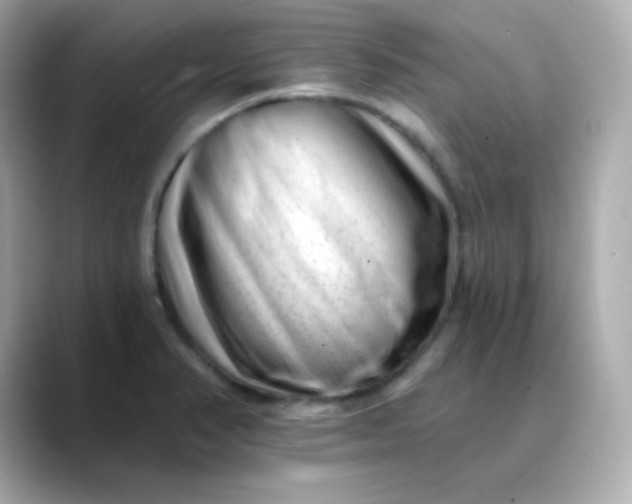 X0000088451374200706051258
