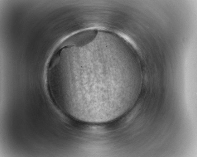 X0000088451375200706051258