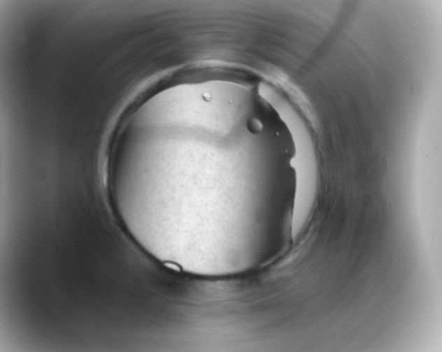X0000088451376200706051258