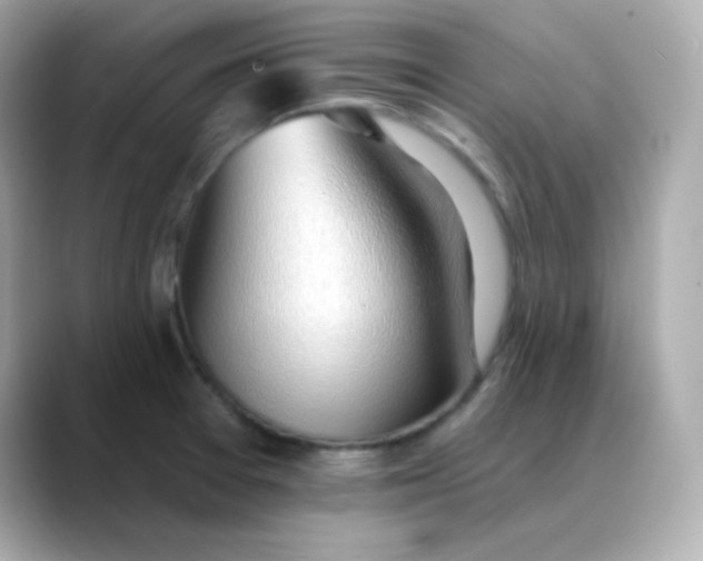 X0000088451377200706051258