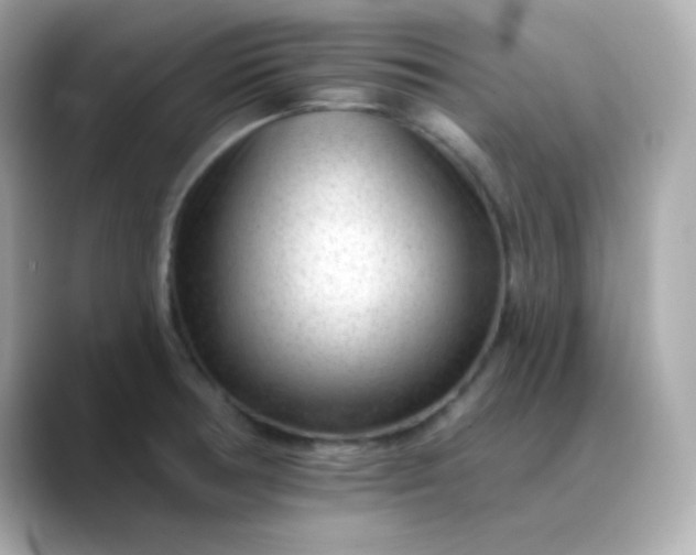 X0000088451378200706051258