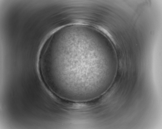 X0000088451379200706051258