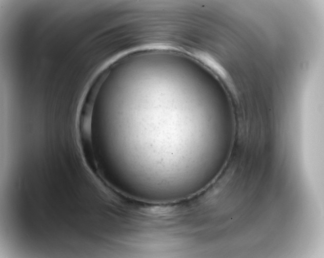 X0000088451380200706051258