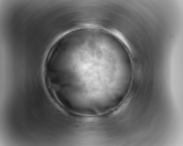 X0000088451381200706051258