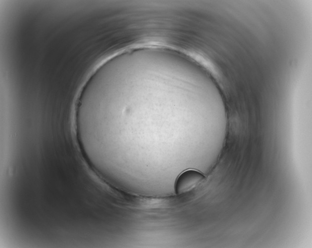 X0000088451382200706051258