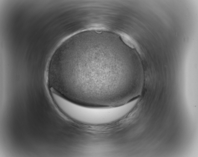 X0000088451383200706051258