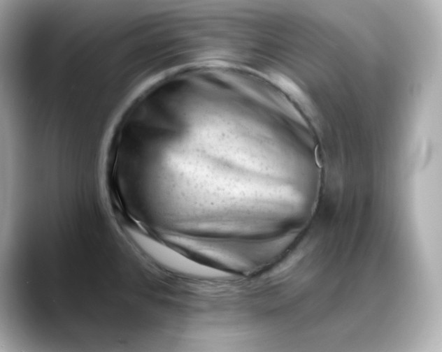X0000088451384200706051258