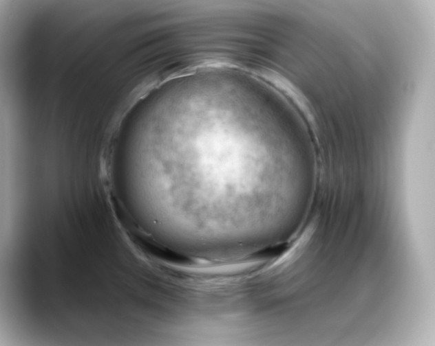 X0000088451385200706051258