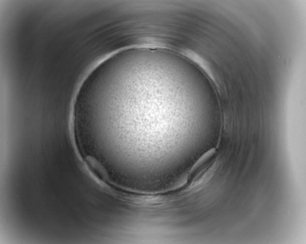 X0000088451387200706051258