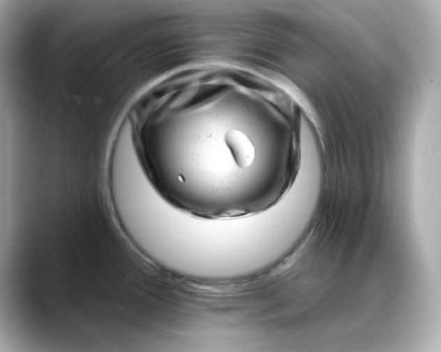 X0000088451388200706051258