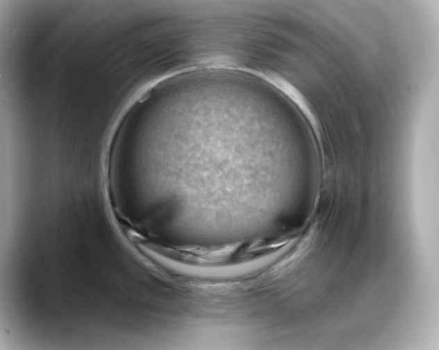 X0000088451389200706051258