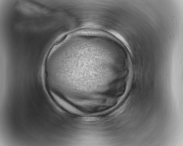X0000088451391200706051258