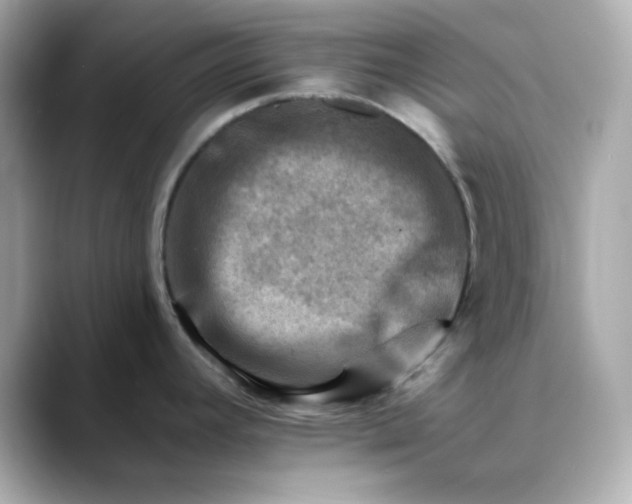 X0000088451392200706051258