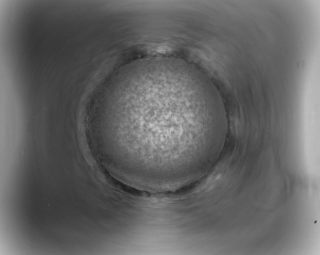X0000088451393200706051257