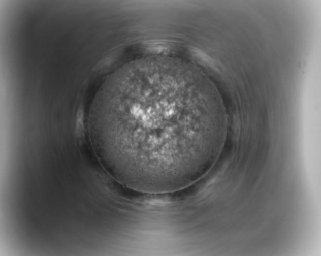 X0000088451394200706051258