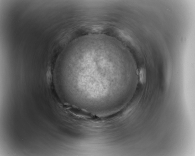 X0000088451395200706051258