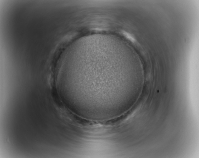 X0000088451398200706051258