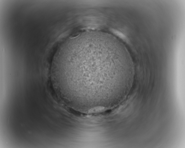 X0000088451399200706051258