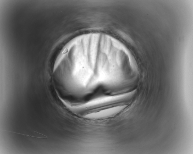 X0000088451400200706051258