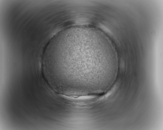 X0000088451401200706051258