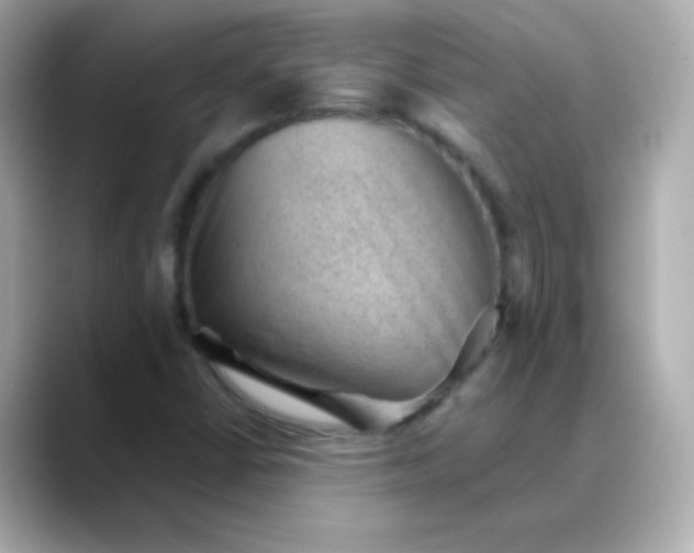 X0000088451402200706051258