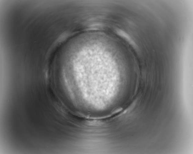 X0000088451403200706051258