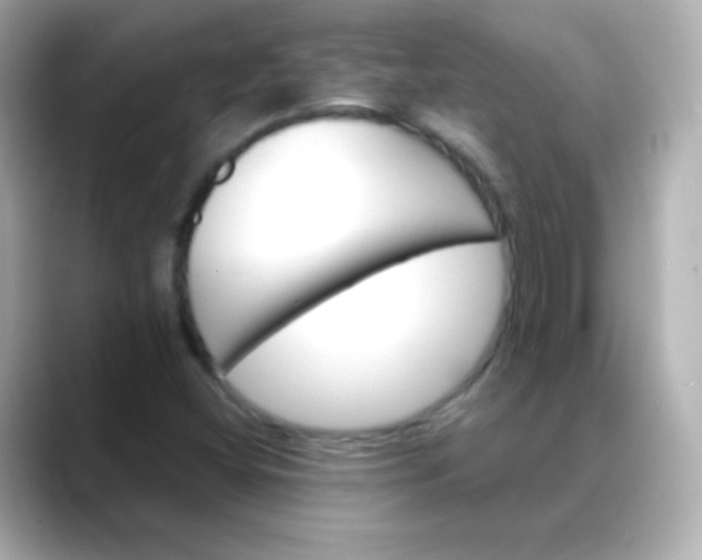 X0000088451404200706051258