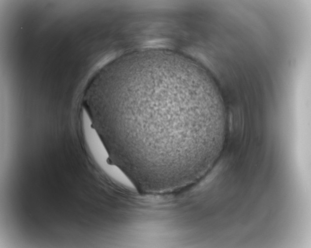 X0000088451405200706051258