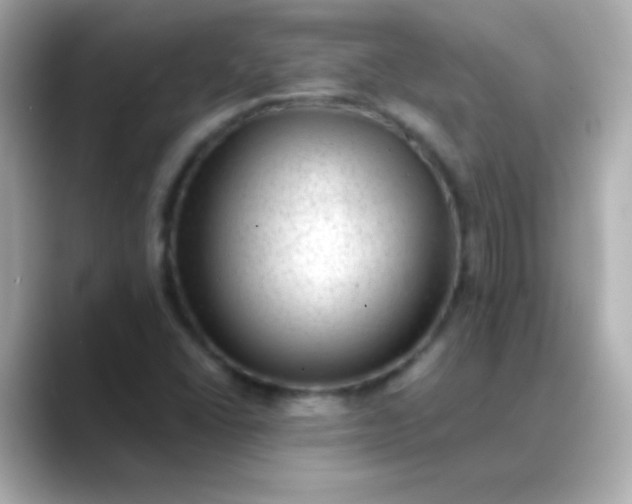 X0000088451406200706051258