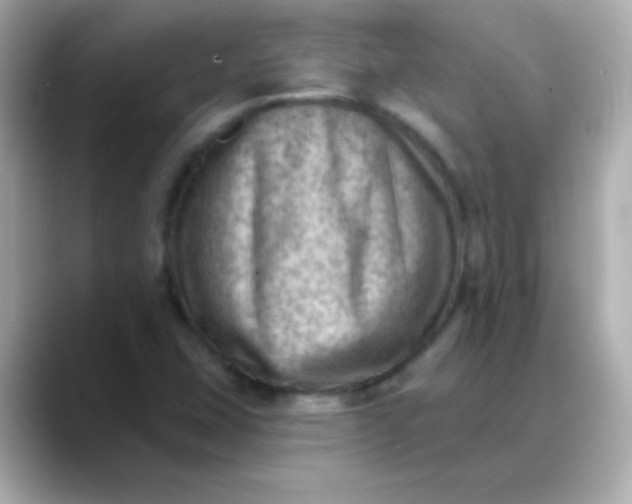 X0000088451407200706051258