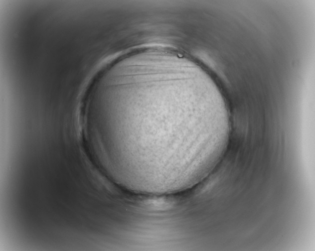 X0000088451408200706051258