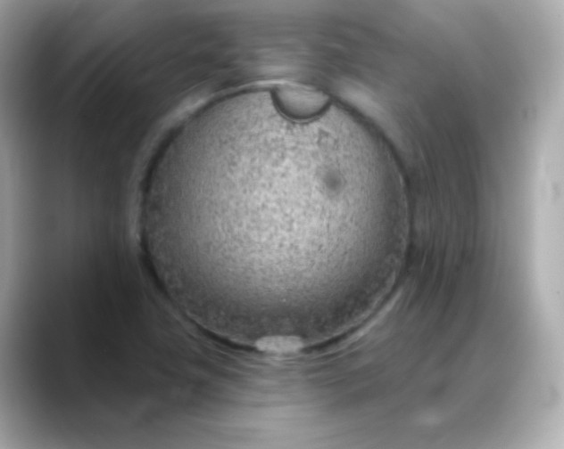 X0000088451411200706051258