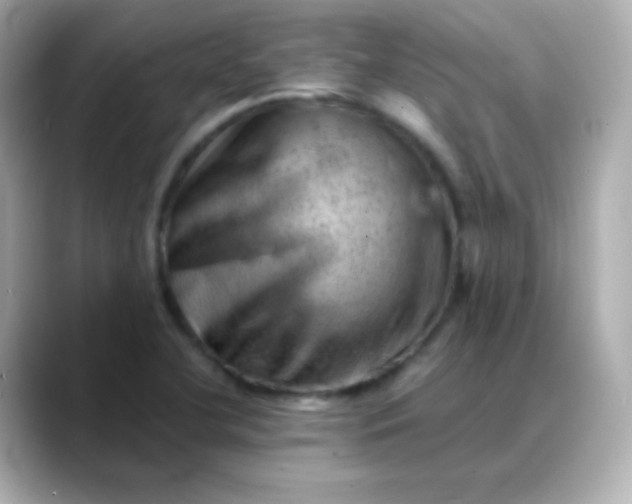 X0000088451412200706051258