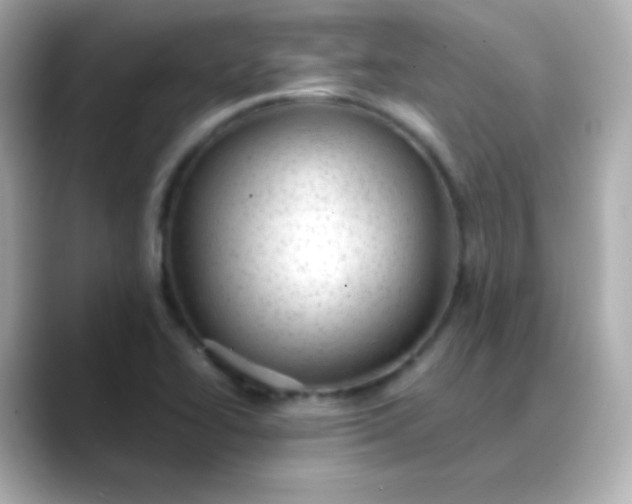 X0000088451414200706051258