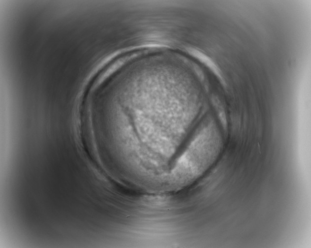 X0000088451415200706051258