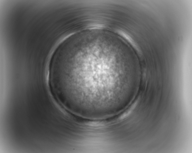 X0000088451418200706051258
