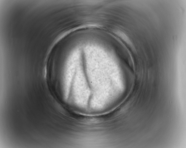 X0000088451420200706051258