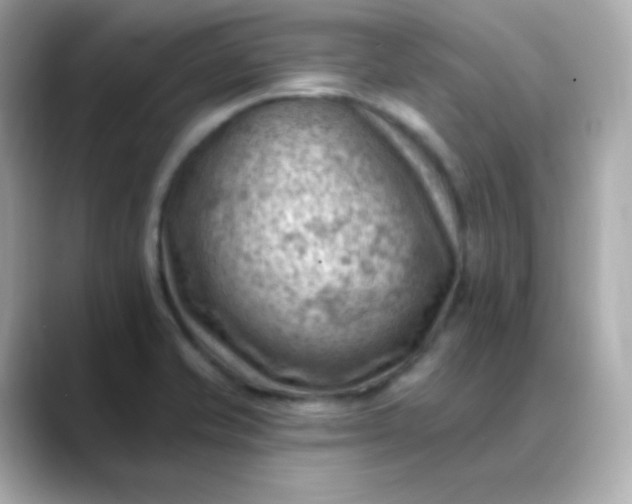 X0000088451421200706051258
