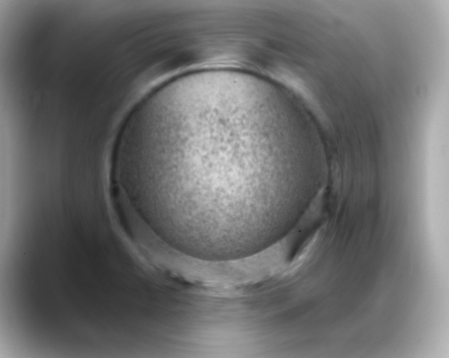 X0000088451422200706051258