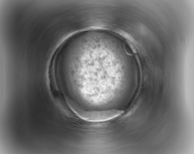 X0000088451423200706051258