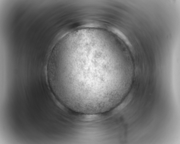 X0000088451425200706051258