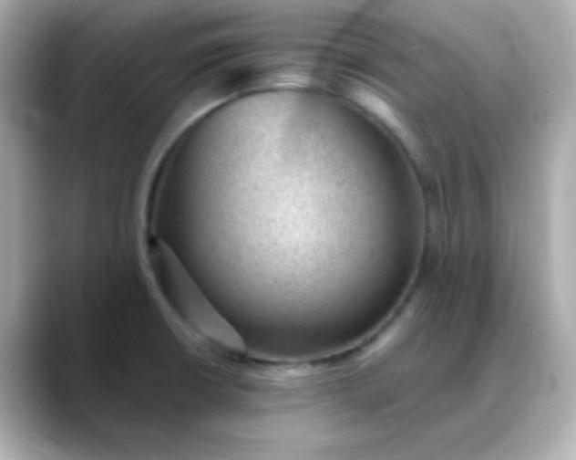 X0000088451426200706051258