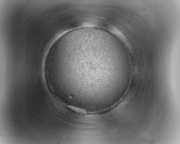 X0000088451427200706051258
