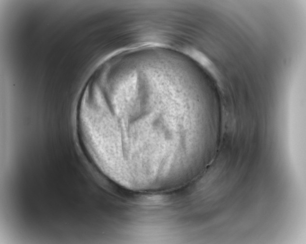 X0000088451431200706051258