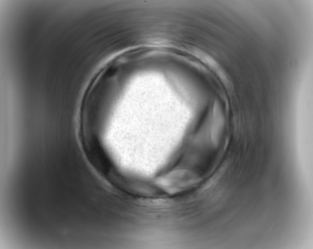 X0000088451432200706051258