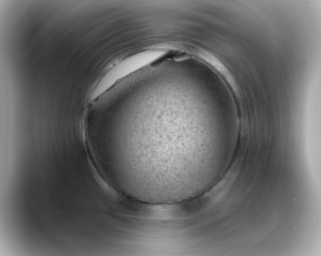 X0000088451433200706051258